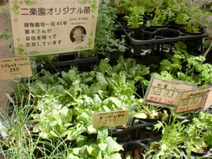 CIMG9870